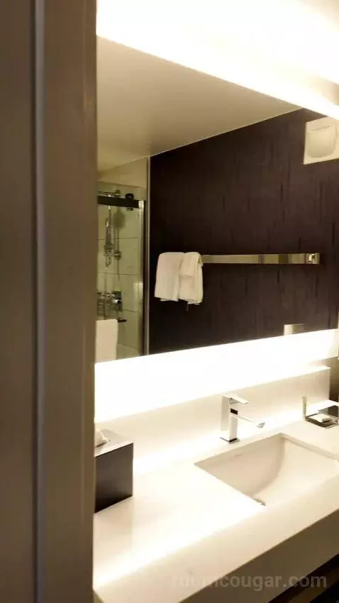 Superior Double Room with Two Double Beds and Times Square View (#3039) bathroom picture #2