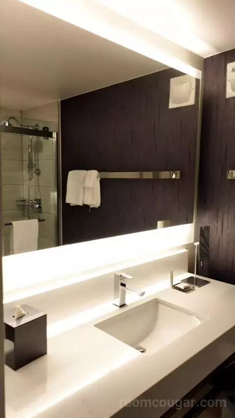 Superior Double Room with Two Double Beds and Times Square View (#3039) bathroom picture #5