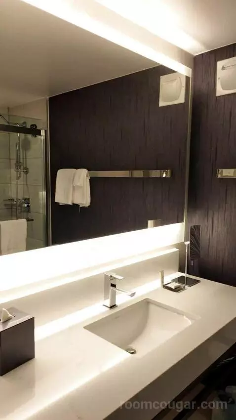 Superior Double Room with Two Double Beds and Times Square View (#3039) bathroom picture #6