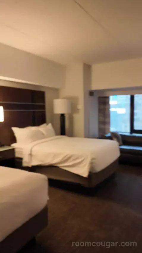 Superior Double Room with Two Double Beds and Times Square View (#3039) bed picture #2