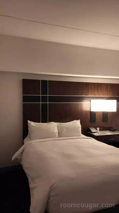 Superior Double Room with Two Double Beds and Times Square View (#3039) bed picture #10