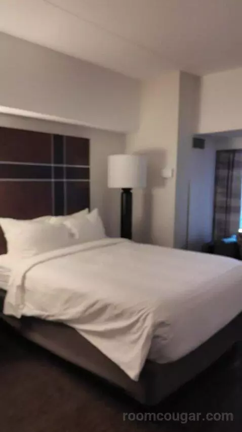 Superior Double Room with Two Double Beds and Times Square View (#3039) bed picture #4