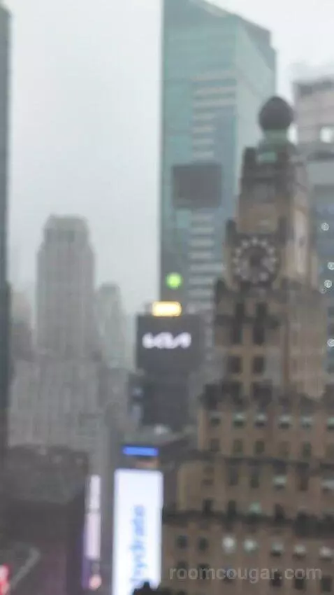 Superior Double Room with Two Double Beds and Times Square View (#3039) view picture #7