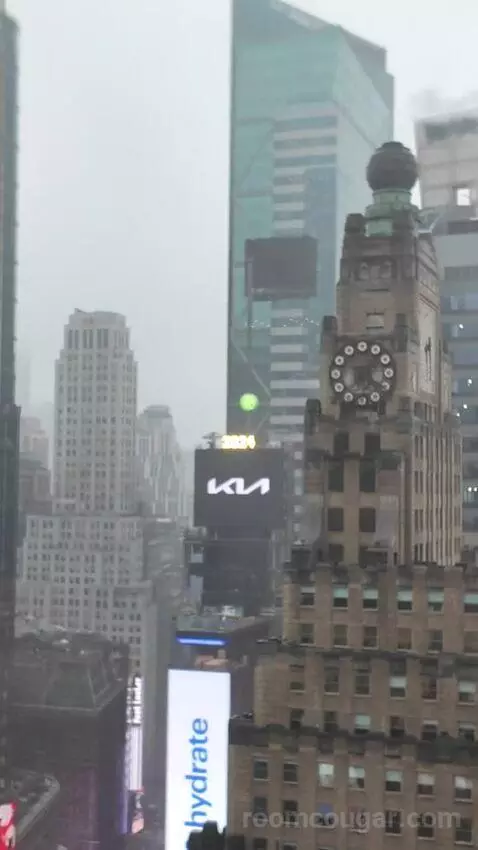 Superior Double Room with Two Double Beds and Times Square View (#3039) view picture #8