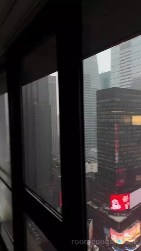 Superior Double Room with Two Double Beds and Times Square View (#3039) view picture #9