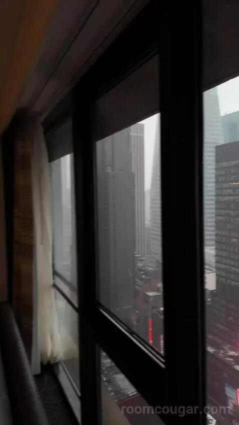 Superior Double Room with Two Double Beds and Times Square View (#3039) view picture #10