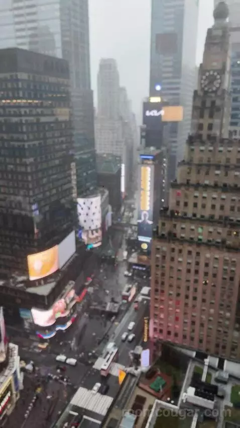 King Room with Sofa Bed (Upon Request) and Times Square View (#3136) view picture #3