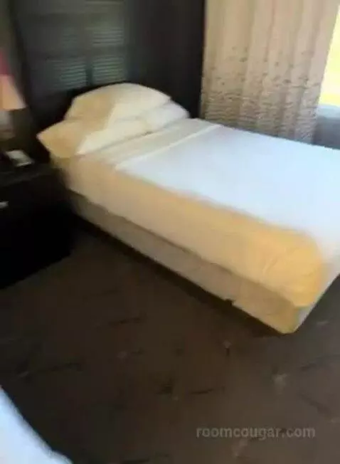 Suite with Two Double Beds (#402) bed picture #3