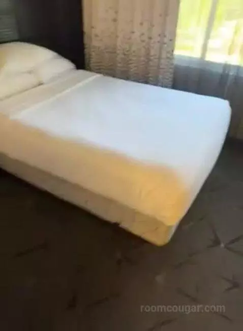 Suite with Two Double Beds (#402) bed picture #7