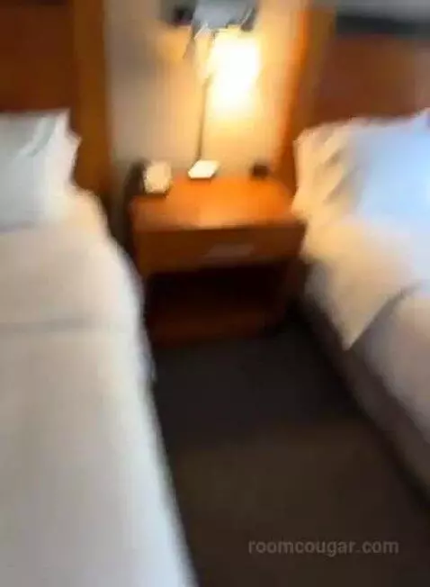Queen Room with Two Queen Beds (#227) bed picture #3
