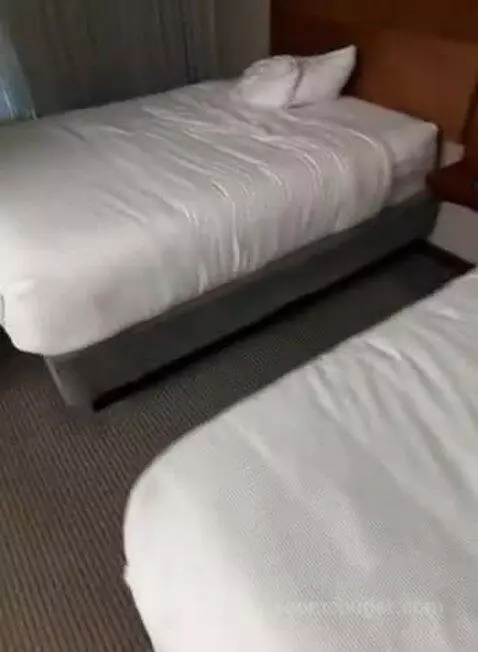 Double Room with Two Double Beds and Sofa Bed (#510) bed picture #5