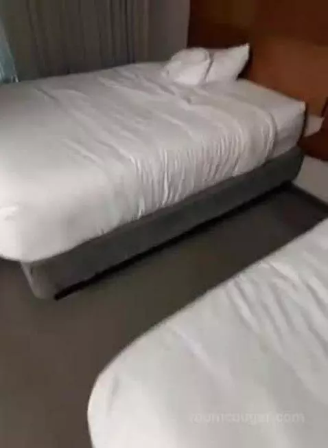 Double Room with Two Double Beds and Sofa Bed (#510) bed picture #7