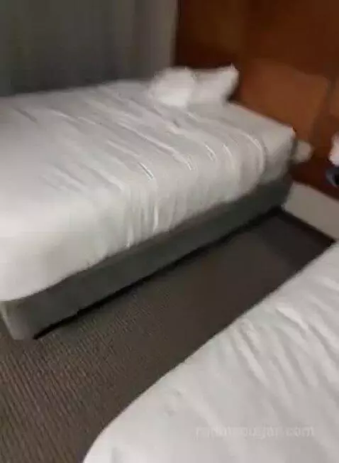 Double Room with Two Double Beds and Sofa Bed (#510) bed picture #8