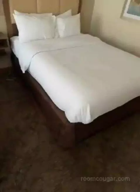 Queen Studio Suite with Two Queen Beds and Sofa Bed (#106) bed picture #1