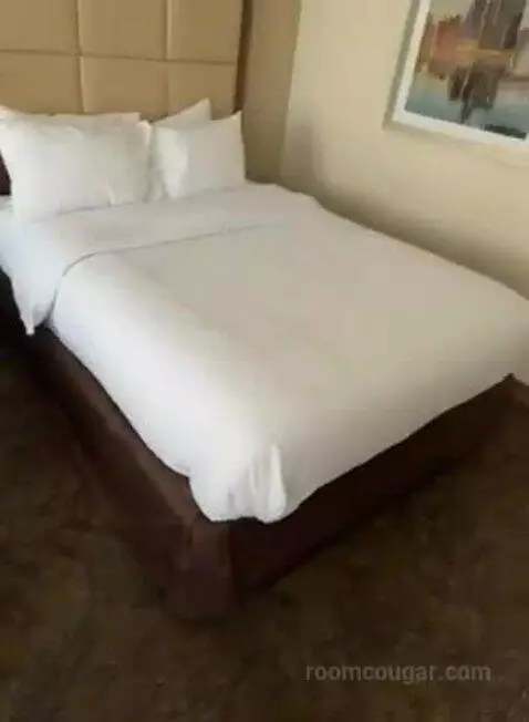 Queen Studio Suite with Two Queen Beds and Sofa Bed (#106) bed picture #2