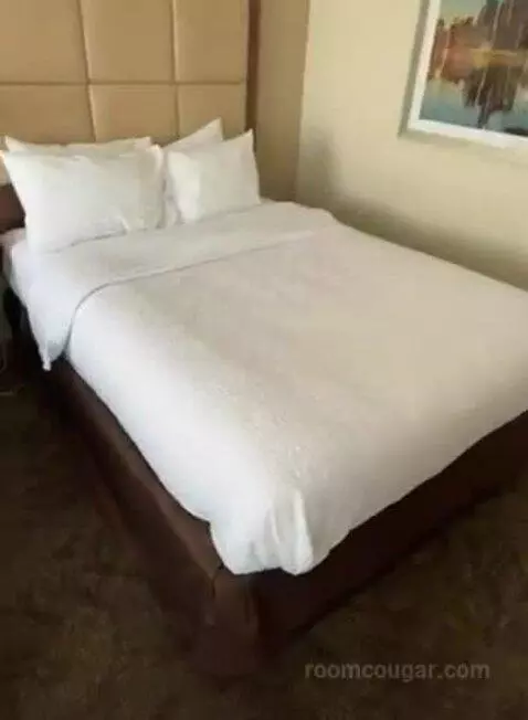 Queen Studio Suite with Two Queen Beds and Sofa Bed (#106) bed picture #5