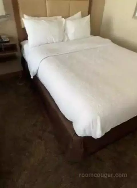 Queen Studio Suite with Two Queen Beds and Sofa Bed (#106) bed picture #6