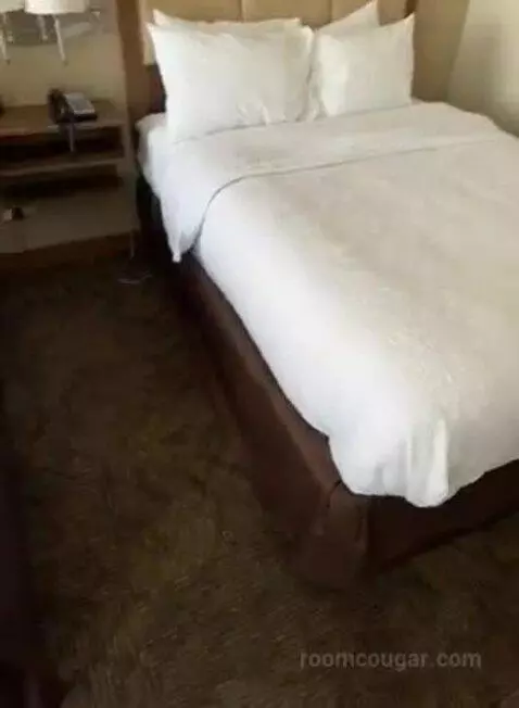 Queen Studio Suite with Two Queen Beds and Sofa Bed (#106) bed picture #7