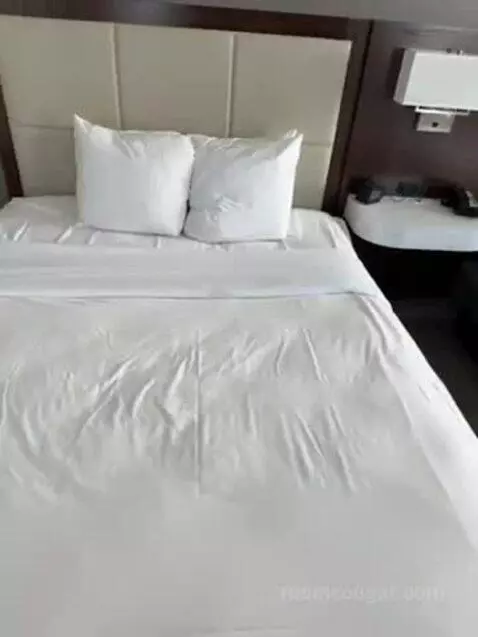 Queen Room with Two Queen Beds (#1835) picture #13