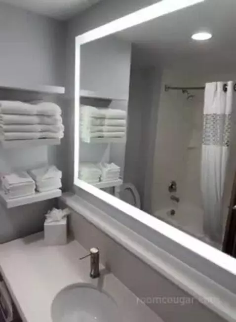 Queen Room with Two Queen Beds (#223) bathroom picture #5