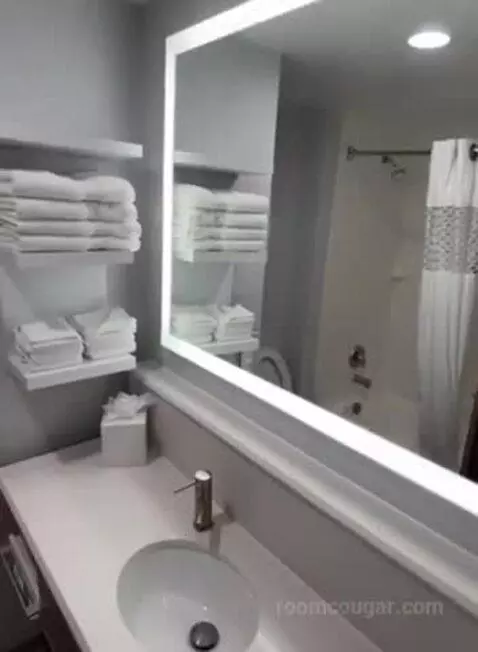 Queen Room with Two Queen Beds (#223) bathroom picture #6