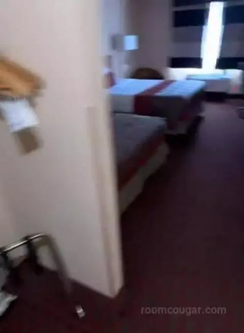 Queen Room with Two Queen Beds (#232) bed picture #2