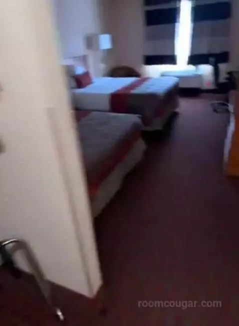 Queen Room with Two Queen Beds (#232) bed picture #3