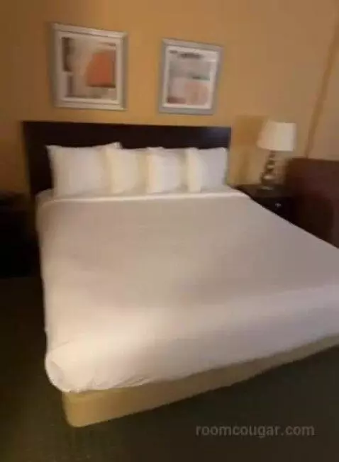 Deluxe King Room (#413) bed picture #1