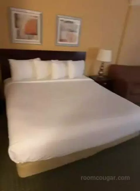Deluxe King Room (#413) bed picture #2