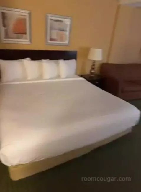 Deluxe King Room (#413) bed picture #3