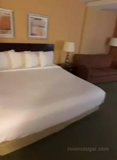 Deluxe King Room (#413) bed picture #4