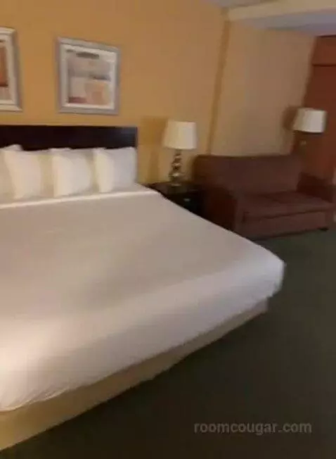 Deluxe King Room (#413) bed picture #5
