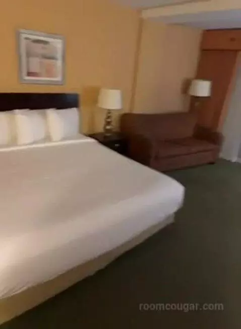 Deluxe King Room (#413) bed picture #6