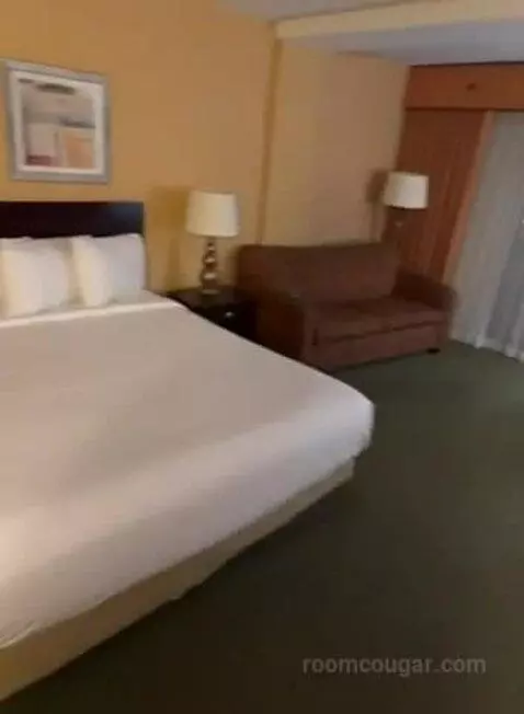 Deluxe King Room (#413) bed picture #7