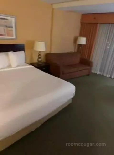 Deluxe King Room (#413) bed picture #8