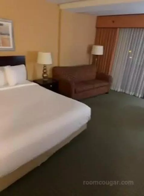 Deluxe King Room (#413) bed picture #9