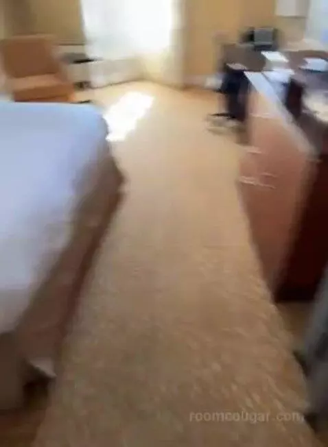 Concierge Level, 1 King (#546) bed picture #2