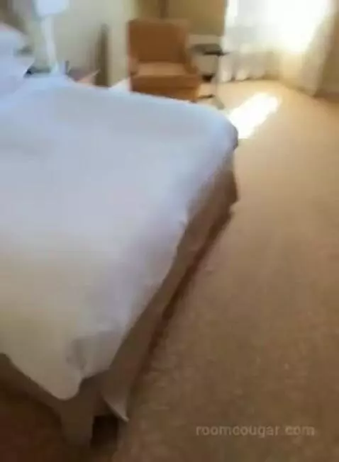 Concierge Level, 1 King (#546) bed picture #5