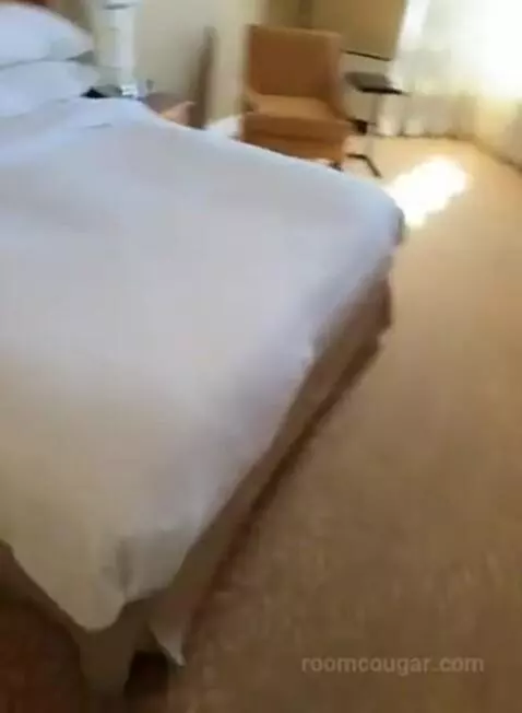 Concierge Level, 1 King (#546) bed picture #6