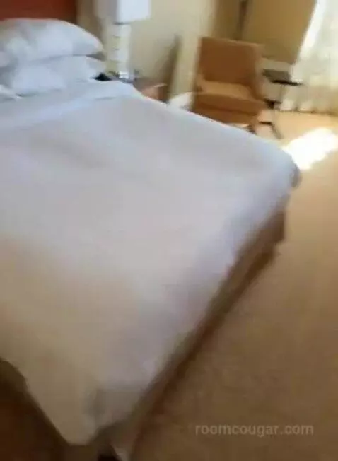 Concierge Level, 1 King (#546) bed picture #7