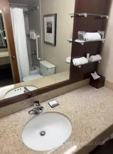 Concierge Level, 1 King (#546) bathroom picture #7
