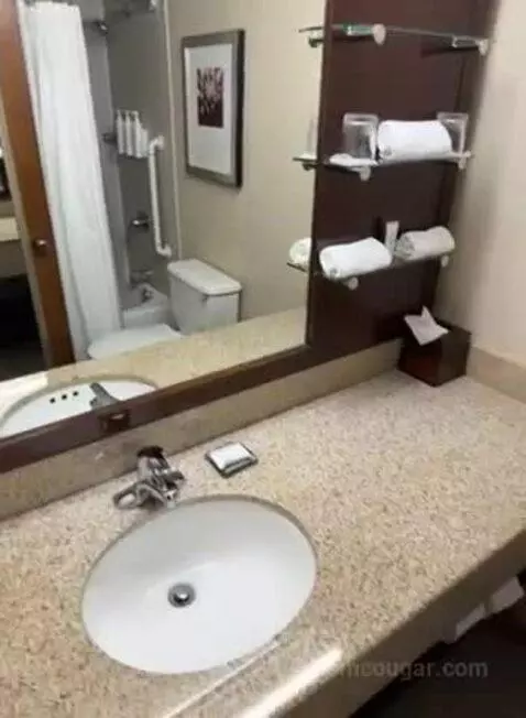 Concierge Level, 1 King (#546) bathroom picture #8
