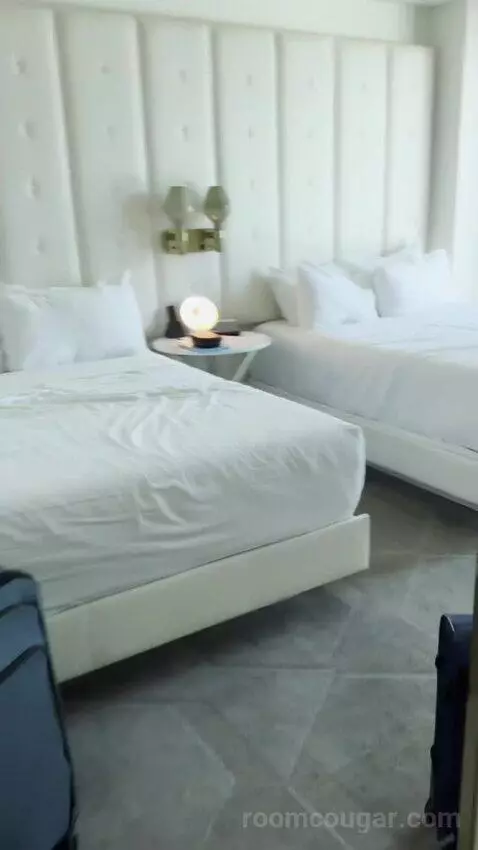 Stay Well Delano Two Queen Suite bed picture #4