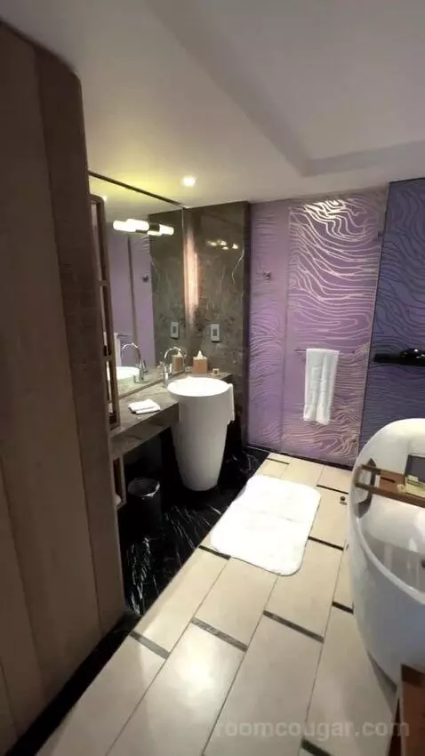 Jr Suite (#251) bathroom picture #2