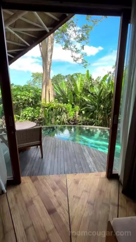 Suite view picture #6