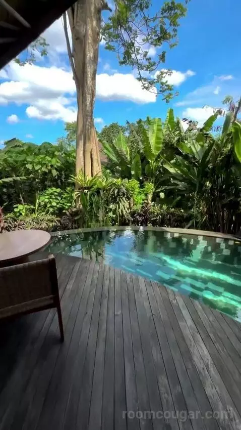 Suite view picture #7