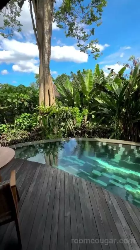 Suite view picture #8