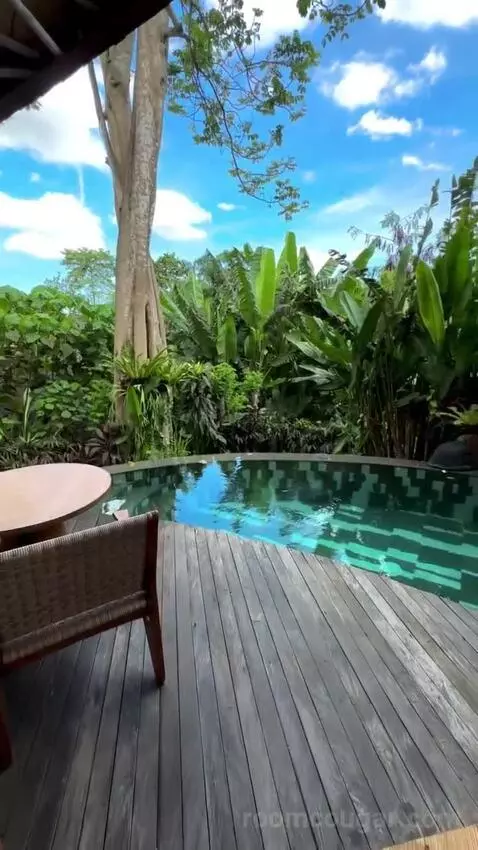 Suite view picture #2