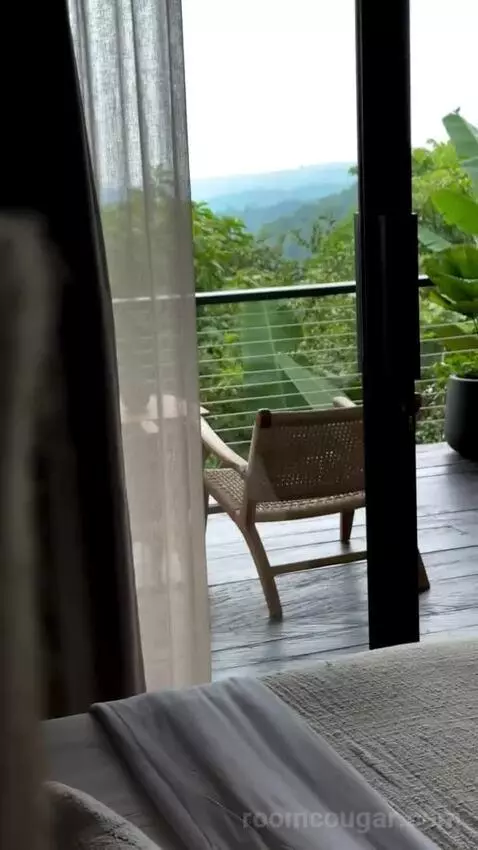 Suite view picture #1
