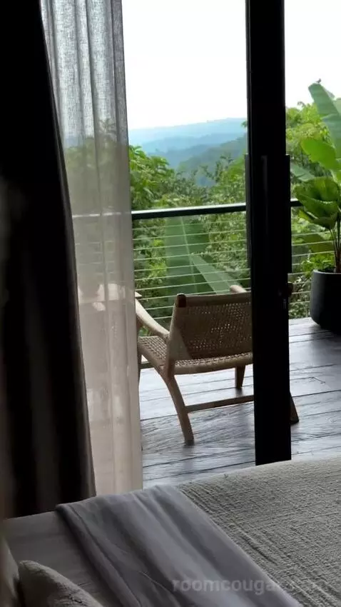 Suite view picture #2